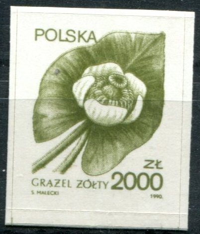 Poland Sc#2978 MNH, 2000z ol grn, Plants (1990-1991) (1990)