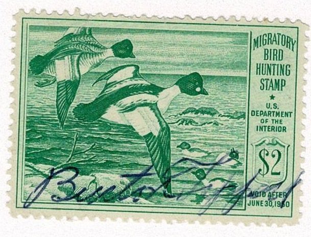 USA #RW16 duck stamp from 1950
