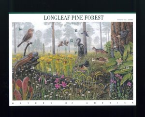 United States 34¢ Longleaf Pine Forest Postage Stamp #3611 MNH Full Sheet