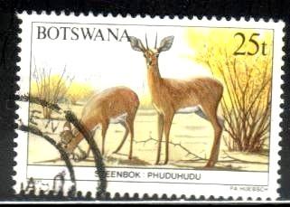 Steenbok, Botswana stamp SC#415 used