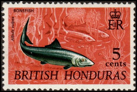 British Honduras 218 - Mint-H - 5c Bonefish (1968)