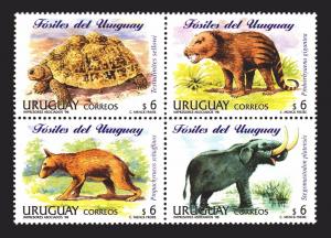 DINOSAUR PREHISTORIC FAUNA FOSSILIZED ANIMALS TURTLE ELEPHANT URUGUAY  #1713