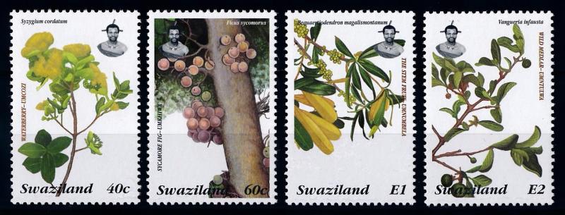 [66266] Swaziland 1996 Flora Plants Fruchte  MNH