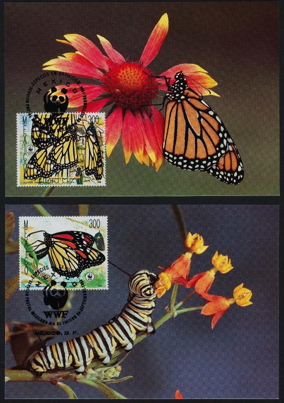 Mexico 1559-62 on Maxi Cards - Butterflies, Flowers