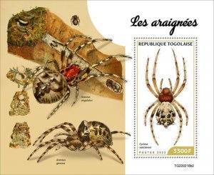 Togo - 2022 Orb-weaving Spiders - Stamp Souvenir Sheet - TG220218b2