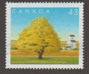1524f  Manitoba Maple