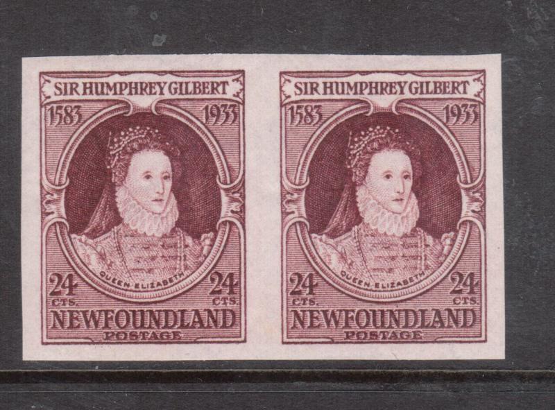 Newfoundland #224a Extra Fine Never Hinged Imperf Pair