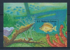 [46784] Turks and Caicos Islands 1990 Marine life fish Souvenir Sheet MNH