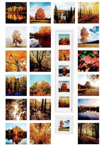 MB432 Sweden Scott 2784-2785 MNH stamps collector's sheet trees in autumn