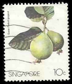 Singapore - #480 - Used - SCV-0.25