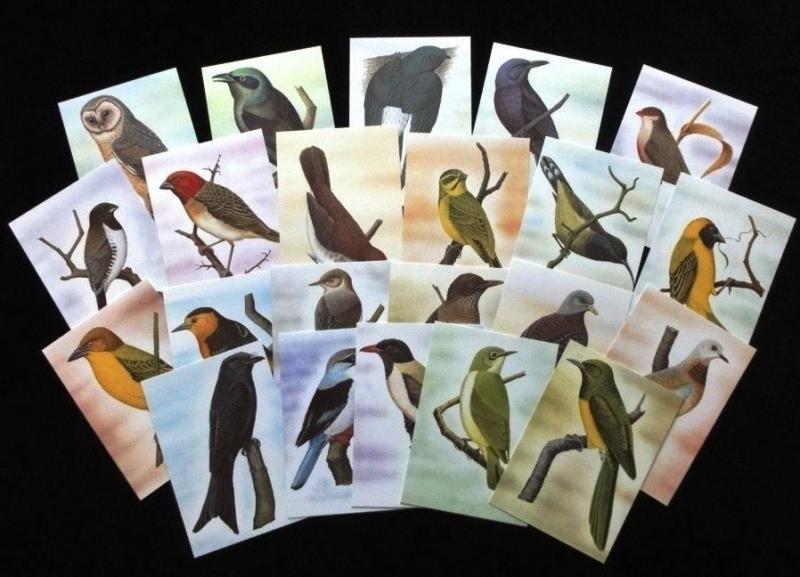 ST THOMAS & Prince Is 1983 BIRDS Wildlife Cards Maxi Unused (22 Items) [D328]