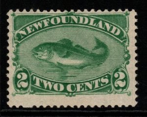 NEWFOUNDLAND SG64 1896 2c GREEN MTD MINT