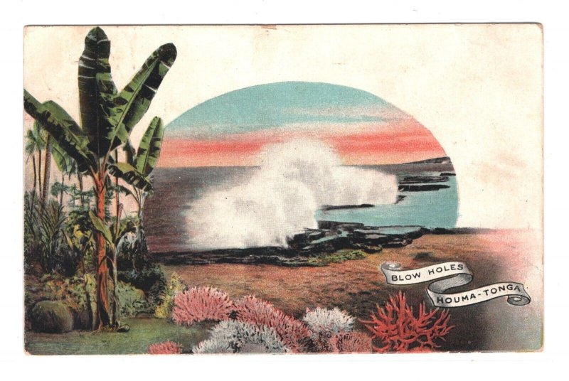 TONGA Stationery ILLUSTRATED Postcard *BLOW HOLES* Houma Nukuʻalofa CDS MA591