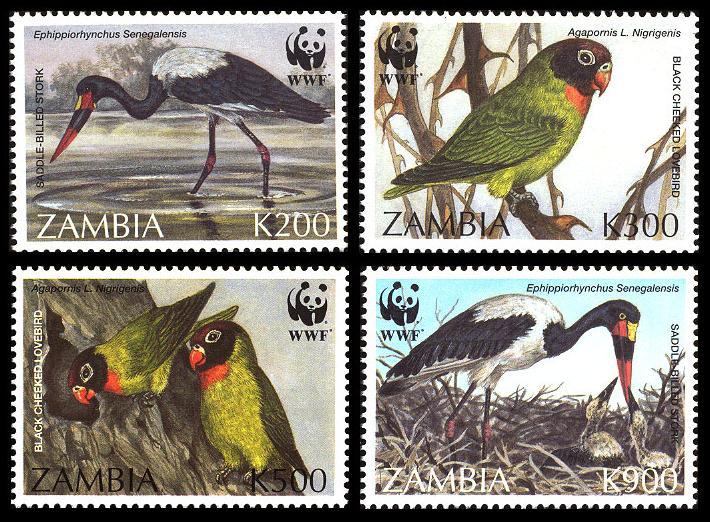 Zambia WWF Saddlebilled Stork and Black-cheeked Lovebird 4v SG#754-757