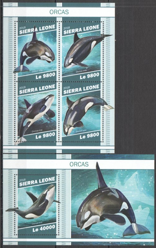 HM1417 2018 SIERRA LEONE KILLER WHALES ORCAS MARINE LIFE #10559-2+BL1618 MNH