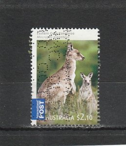 Australia  Scott#  3097  Used  (2009 Eastern Gray Kangaroos)