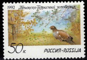 Russia /USSR  Scott 6073 MNH** 1992 stamp