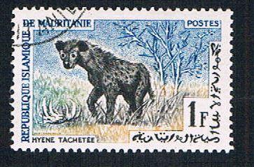 Mauritania 135 Used Spotted hyena (BP10421)