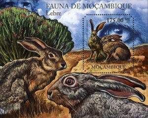 Hares Stamp Lepus Capensis Wild Animal Souvenir Sheet MNH #4944 / Bl.508