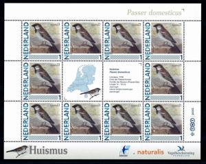 [43427] Netherlands Nederland 2011 Birds Vögel Passer domesticus MNH Sheet