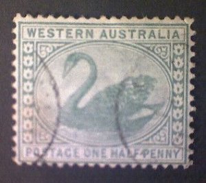 Australia-Western Australia, Scott #58, used (o), 1885, Black Swan,  ½d, green