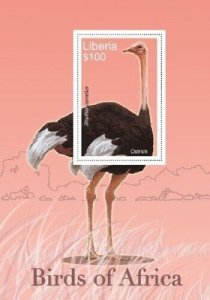 Liberia 2007 - BIRDS OF AFRICA - OSTRICH - Souvenir Stamp Sheet Scott 2482 - MNH