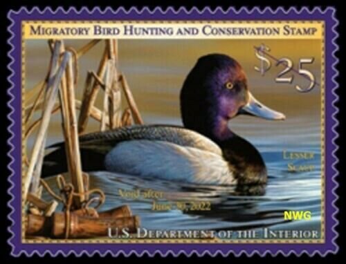 Mac's #RW88 2021 - US Federal Duck Stamp Mint OGNH FREE MOUNT & ALBUM su...