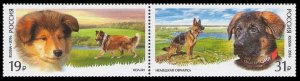 2016 Russia 2318-19Paar Service breeds of dogs 4,70 €
