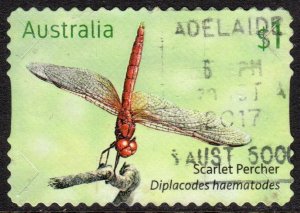 AUSTRALIA 2017 DRAGON FLIES