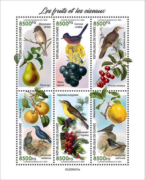 GUINEA - 2023 - Fruits & Birds - Perf 6v Sheet - Mint Never Hinged