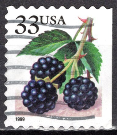 USA; 1999: Sc. # 3301: Used Perf. 9 1/2 x 10  Single Stamp