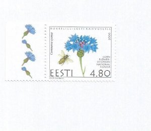 ESTONIA - 2000 - Cornflower - Perf Single Stamp - Mint Lightly Hinged