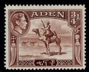 ADEN GVI SG17, ¾a red-brown, NH MINT. 