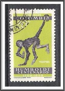 Colombia #715 Spider Monkey Used