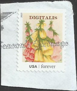 # 4756 USED DIGITALIS
