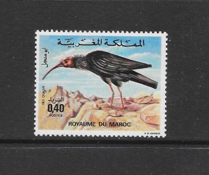 BIRDS - MOROCCO #344  MNH