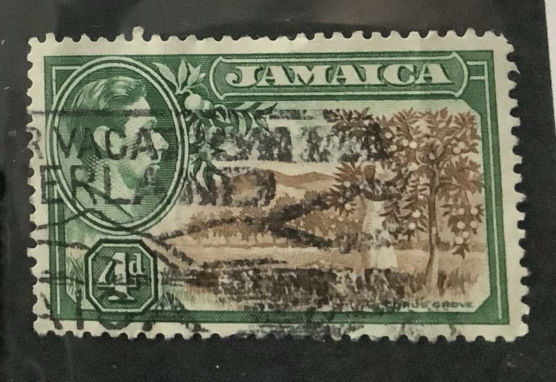 Jamaica 1938/51 Scott 122 used - 4p,  King George VI & Citrus Grove