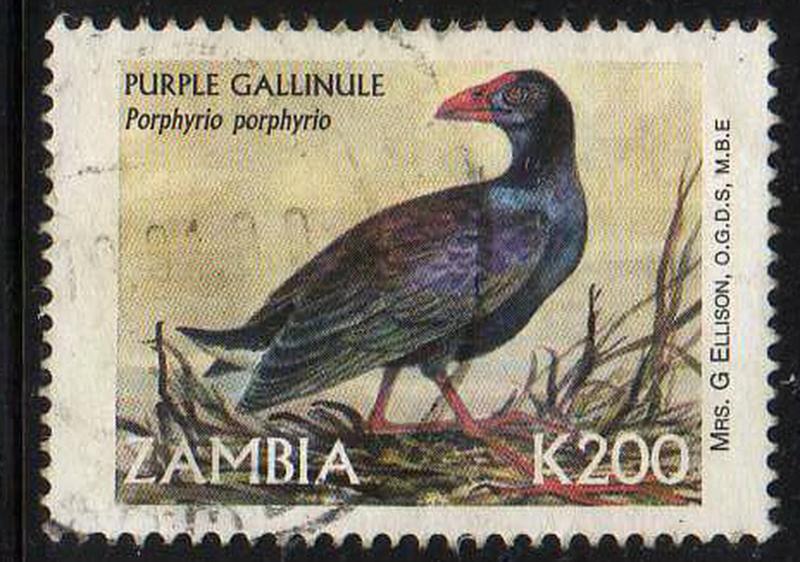 Zambia - #841 - used - Birds