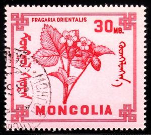 Mongolia 479 - used - Flower