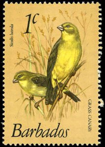 BARBADOS Sc 495 VF/MNH - 1979 1¢ Grass Canaries