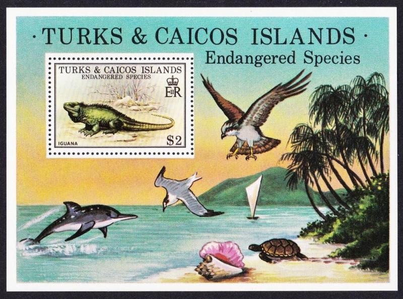 Turks and Caicos Iguana Endangered Wildlife MS SG#MS539