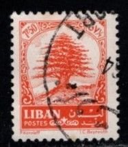Lebanon - #409 Cedar Tree  -  Used