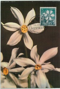 63361 - SPANISH ANDORRA - POSTAL HISTORY: MAXIMUM CARD - FLOWERS 1966-