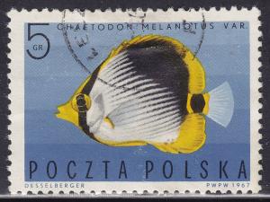 Poland 1492 Striped Butterfly Fish 1967