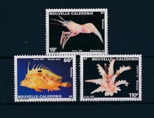 [49243] New Caledonia 1989 Marine life Fish MNH