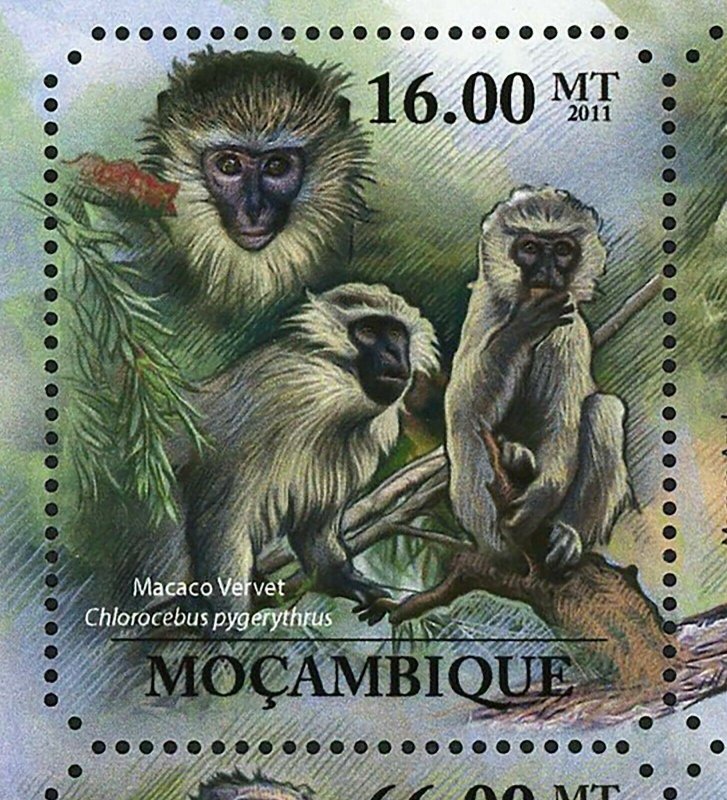 Primates Stamp Otolemur Crassicaudatus Papio Cynocephalus S/S MNH #5036-5041