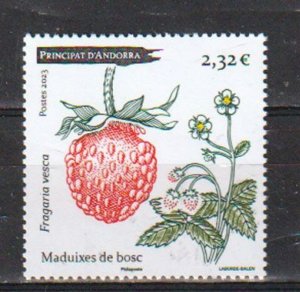 2023 FR Andorra Strawberry  (Scott NA) MNH