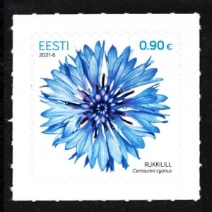 ESTONIA 2021-06 FLORA: Definitive Cornflower, Mint Adhesive