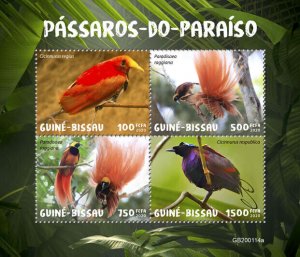 Guinea-Bissau Birds on Stamps 2020 MNH Greater Bird of Paradise 4v M/S