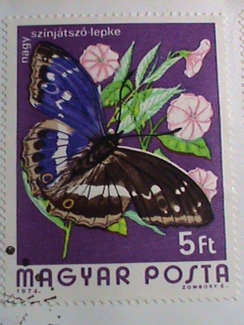 HUNGARY-FDC COVER-1974-SC#2317 COLORFUL BEAUTIFUL LOVELY BUTTERFLIES LARGE MNH